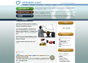 Disseny i Programació Pàgina web corporativa Optimize cost